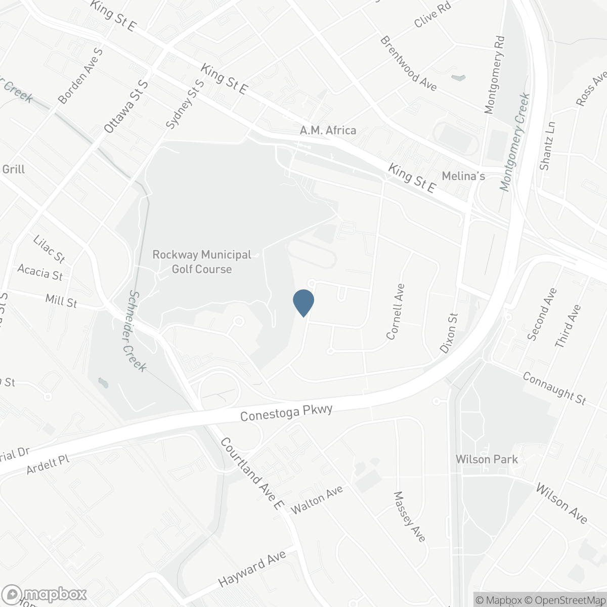 124 CARWOOD Avenue, Kitchener, Ontario N2G 3B9